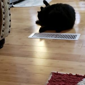 Meet your Posher, Clay